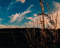 虚拟号码手机号发送平台