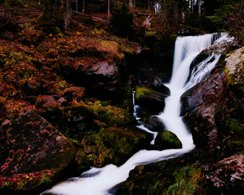 电话网页在线轰炸源码