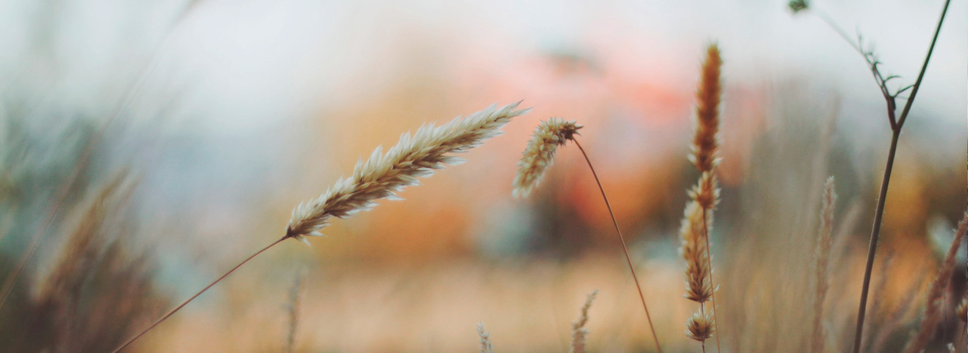 专业技术保障的无限循环呼叫手机号软件