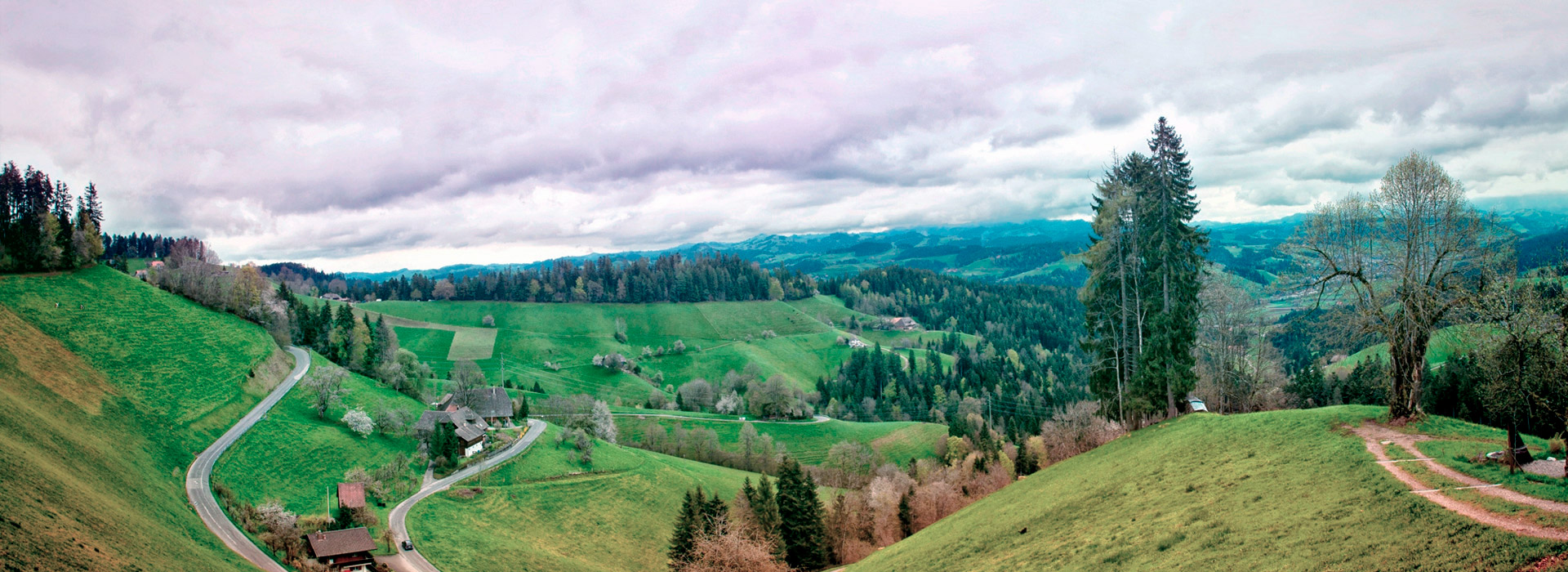 在线短信轰炸测试